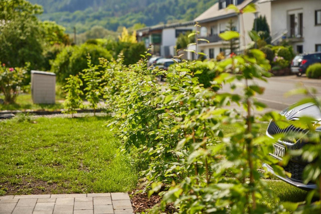 Mittelmosel Panorama Ferienwohnung Kinheim Εξωτερικό φωτογραφία